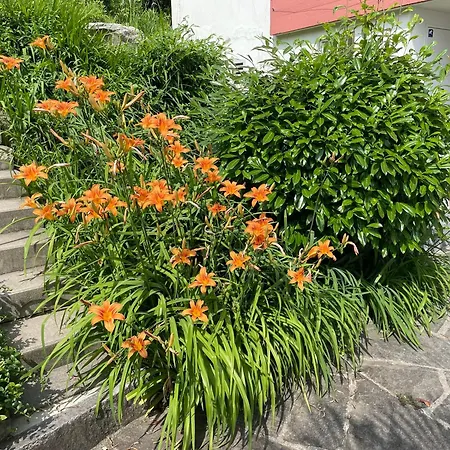 Prázdninový dům Casa Colombina & By Fewotessin *