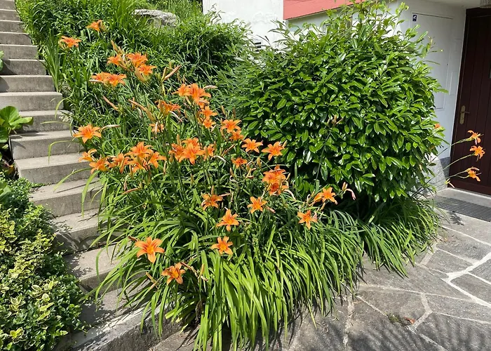 度假居 Casa Colombina & By Fewotessin *